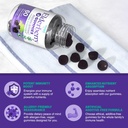 elderberry-gummies-with-vitamin-c-and-zi-4.jpg