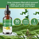 mullein-drops-for-lungsmullein-leaf-extr-6.jpg