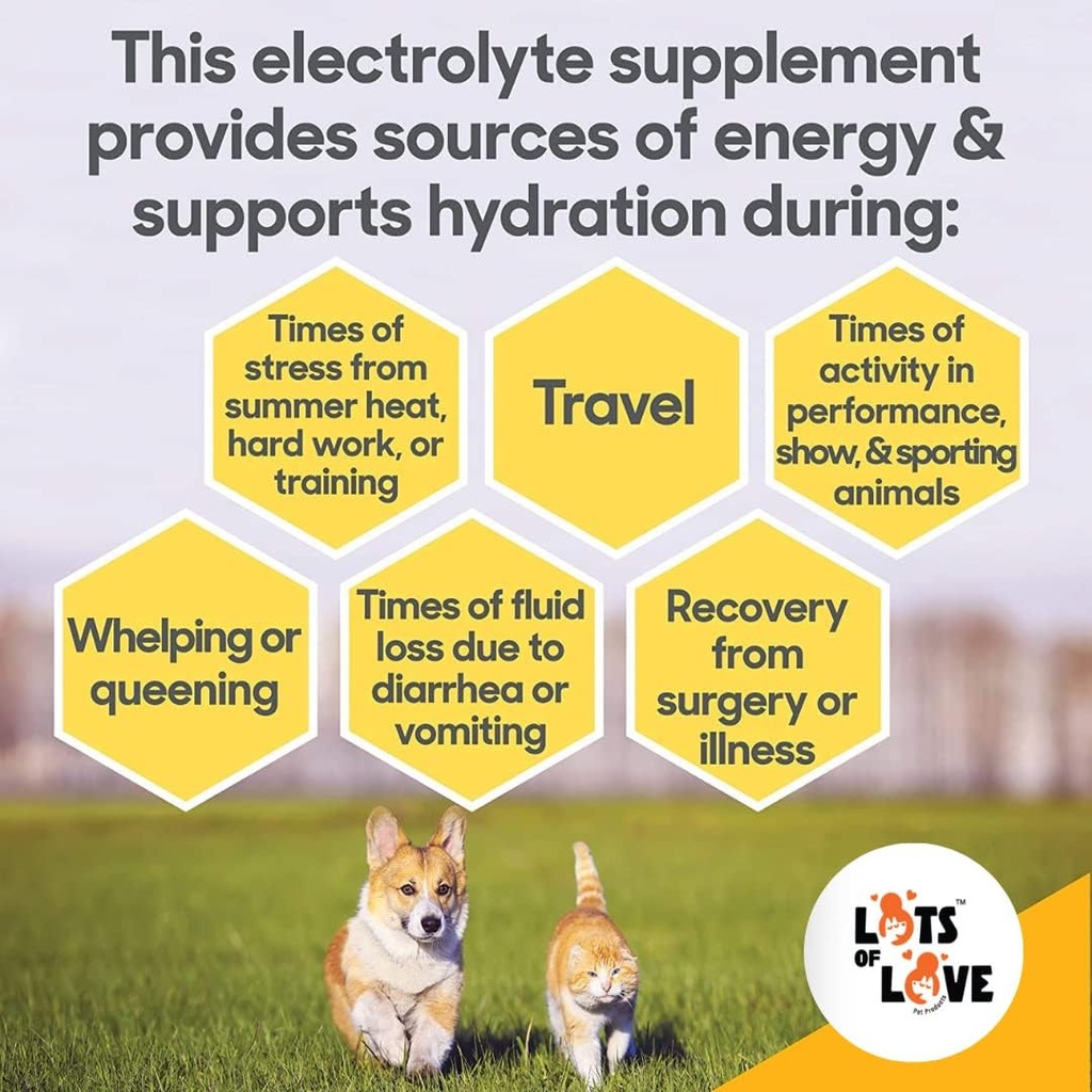 hydrade-powder---electrolytes-for-dog-ca-5.jpg