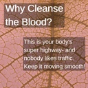 blood-cleansing-lifeboost-tea-organic-cl-4.jpg