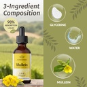 herbamama-mullein-leaf-extract-and-querc-6.jpg