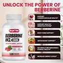 berberine-supplement-1500mg-with-ceylon--4.jpg