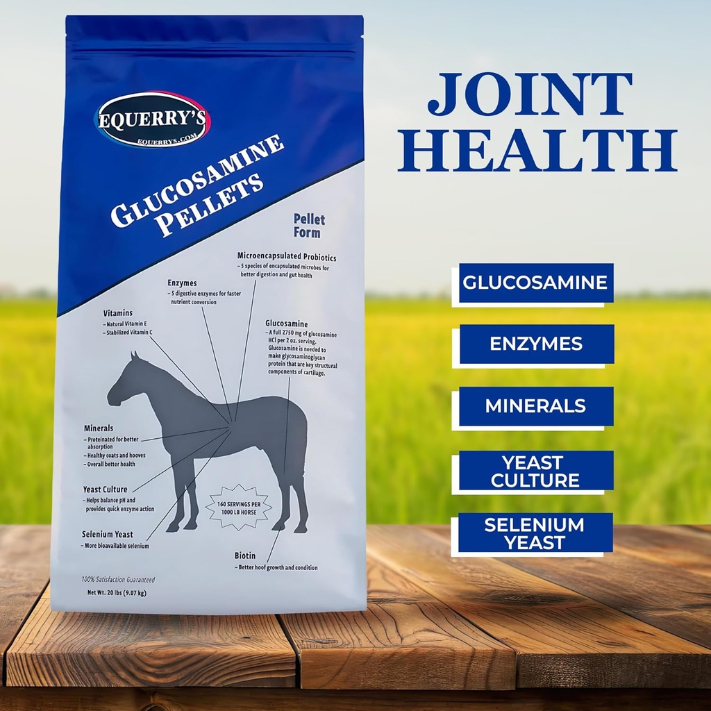 equerrys-glucosamine-pellets---joint-sup-6.jpg
