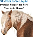 su-per-e-se-horses-antioxidant-supplemen-2.jpg