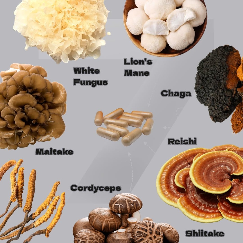 complex-7---organic-reishi-lions-mane-co-4.jpg