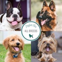 natures-specialties-dog-ear-cleaner-medi-4.jpg