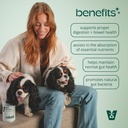 probiotic-chews-for-dogs---digestive-enz-2.jpg