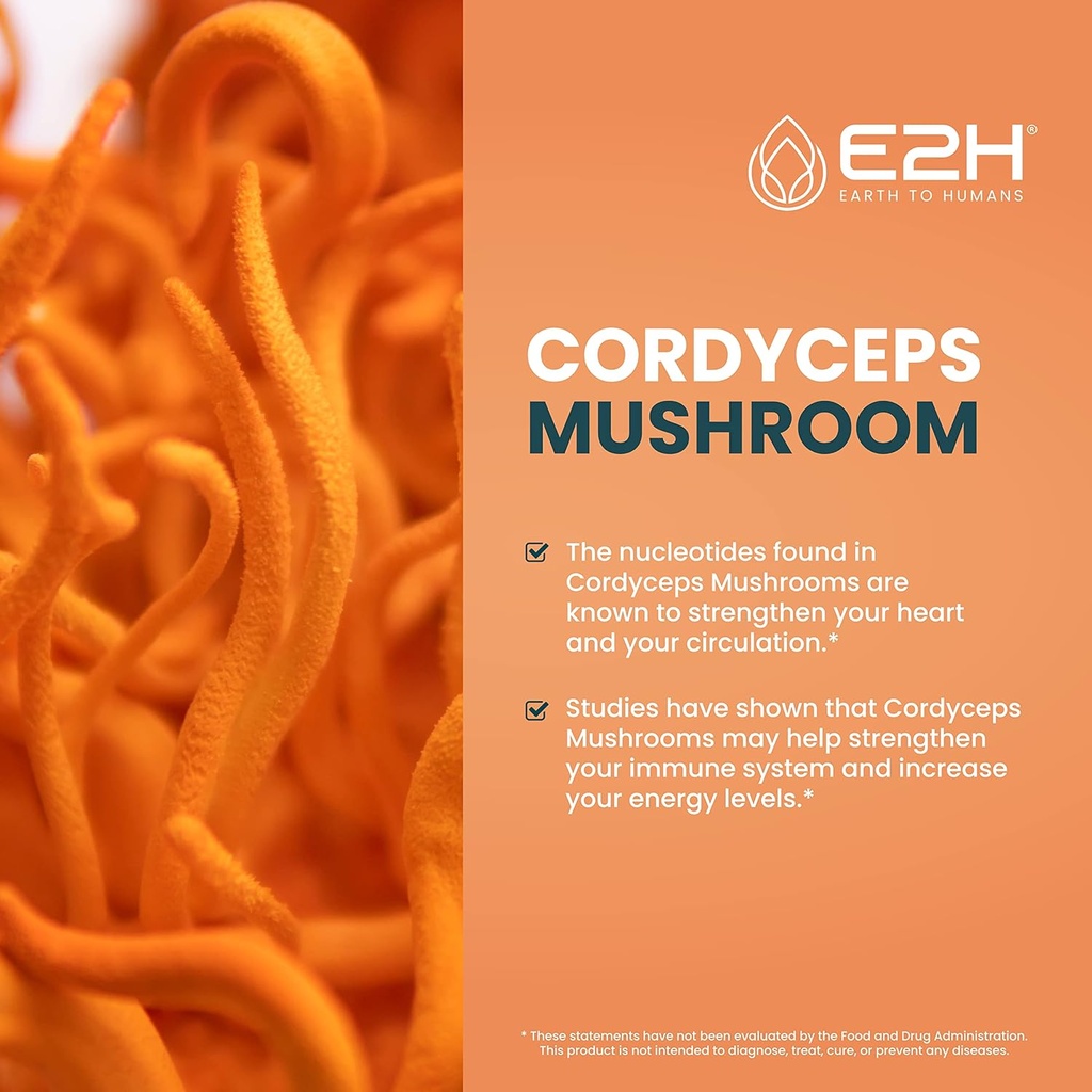 e2h-turkey-tail-cordyceps-extracts---imm-2.jpg