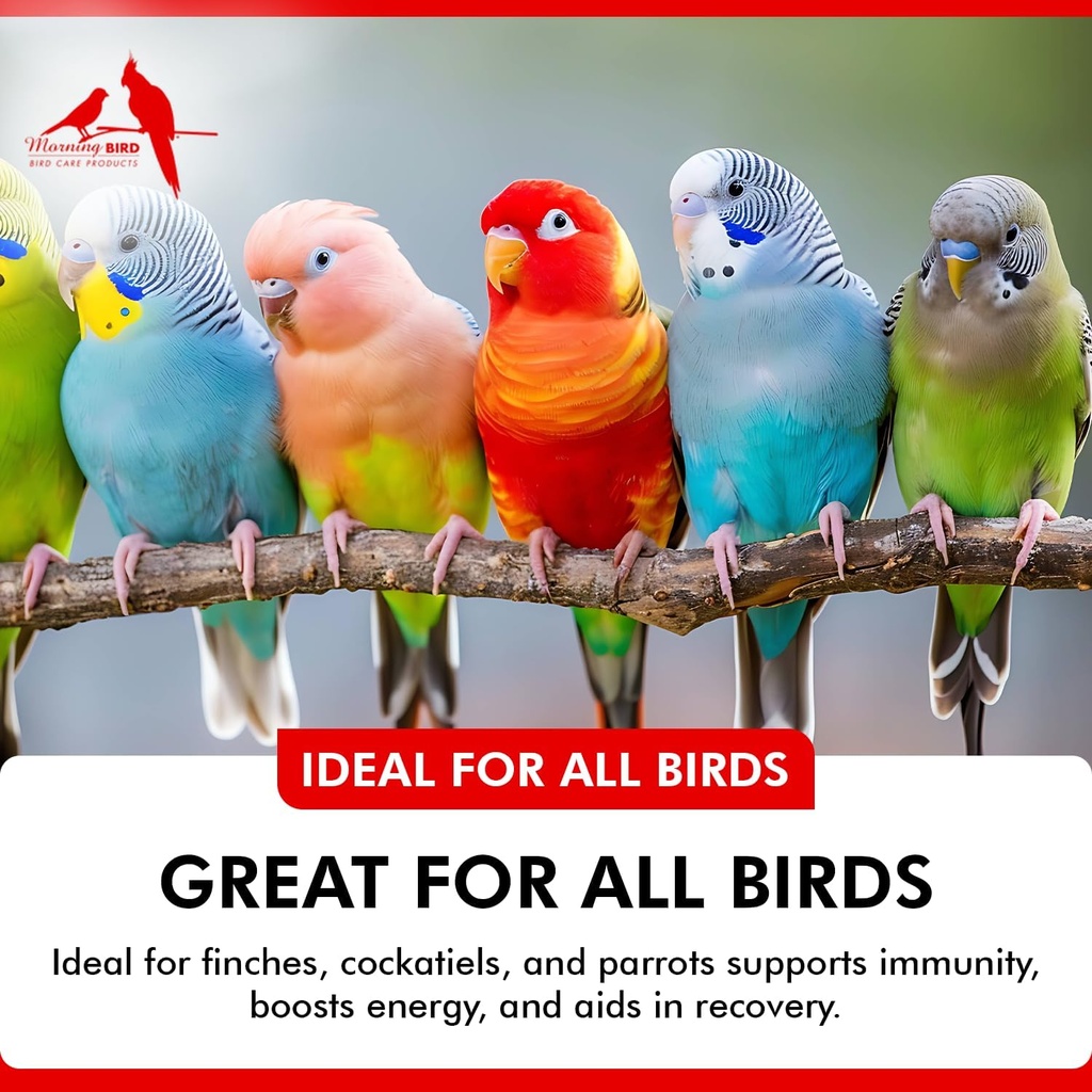 morning-bird-immune-system-booster-16-oz-3.jpg