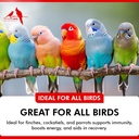 morning-bird-immune-system-booster-16-oz-3.jpg