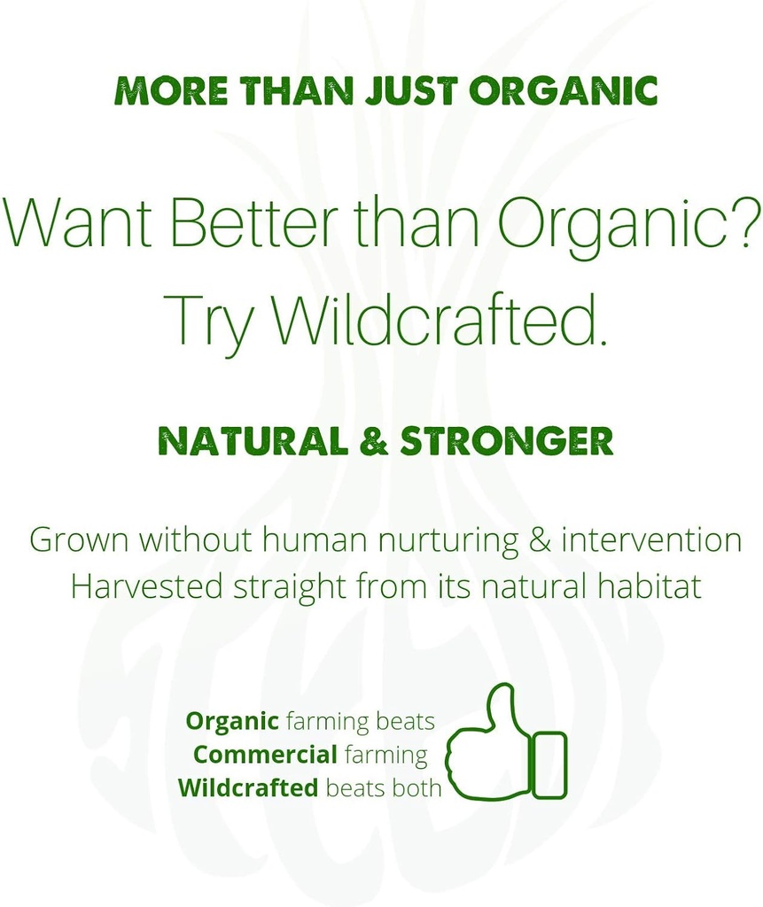 natural-blood-cleanser-liquid-organic-su-6.jpg