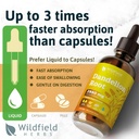 dandelion-root-extract-drops-2000mg-tara-5.jpg