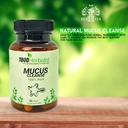 1800herbalist-mullein-blend-with-natural-2.jpg