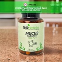 1800herbalist-mullein-blend-with-natural-3.jpg
