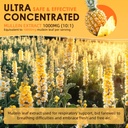 mullein-drops-for-lungs---13-in-1-vegan--2.jpg