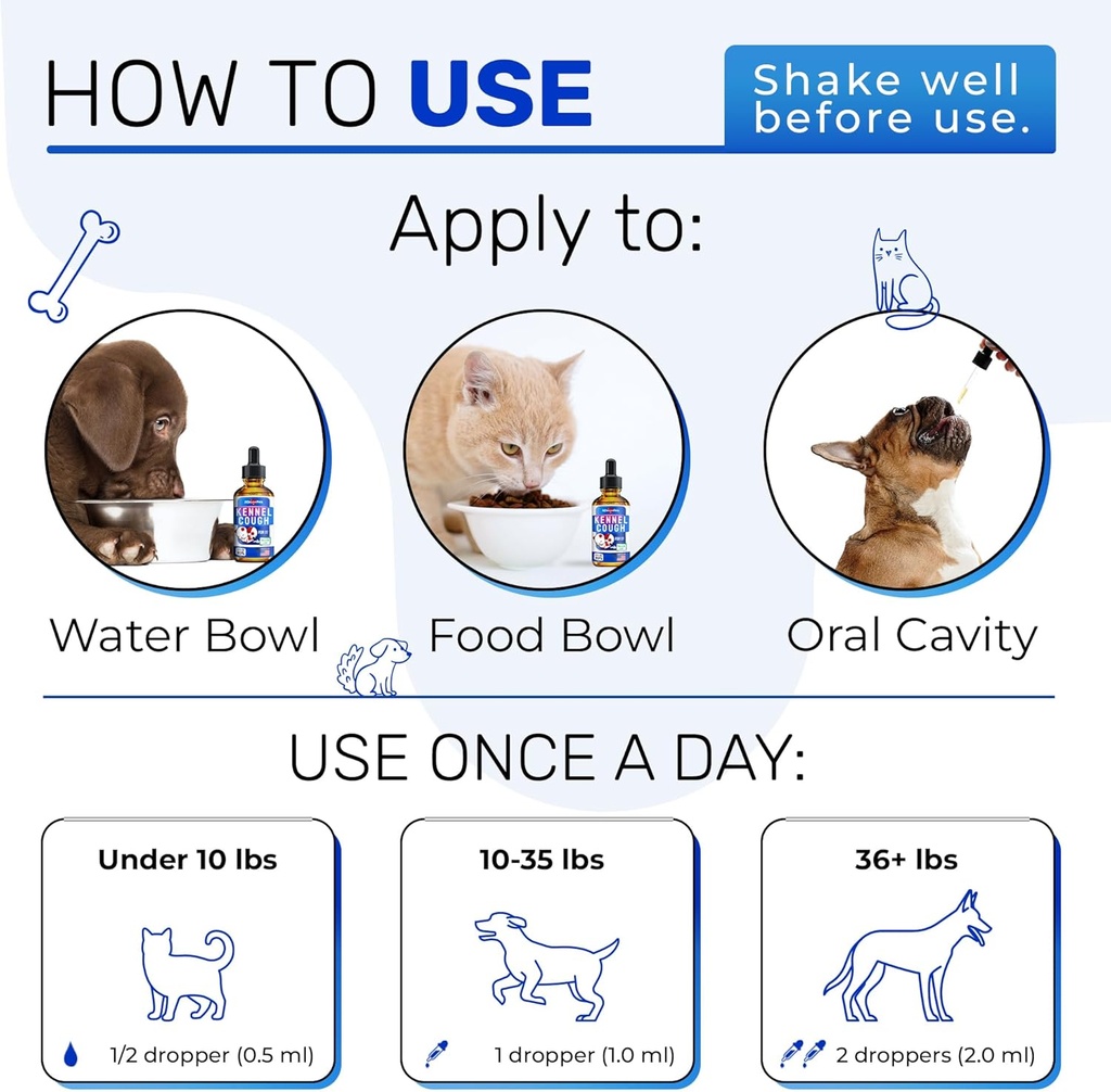 kennel-cough-treatment-for-dogs-cats-dog-4.jpg