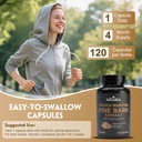 french-maritime-pine-bark-extract-400-mg-6.jpg