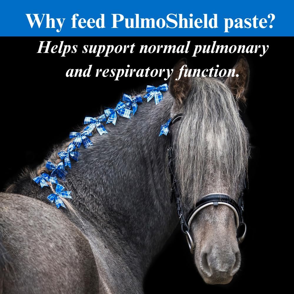 su-per-pulmoshield-paste-for-respiratory-2.jpg