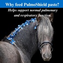 su-per-pulmoshield-paste-for-respiratory-2.jpg