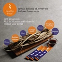 balloon-flower-root-extractbellflowergin-5.jpg