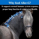 su-per-aller-g-respiratory-support-for-h-4.jpg