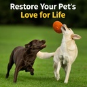 hip-joint-supplement-for-dogs-cats-with--5.jpg