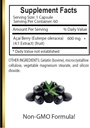 acai-berry-extract---nutrient-dense-anti-5.jpg