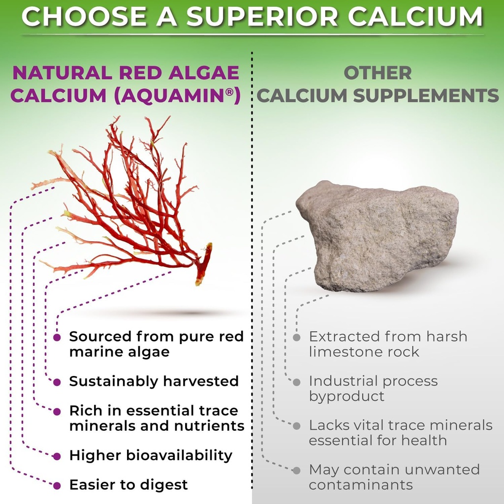 bone-immune-support-bundle---quercetin-5-6.jpg