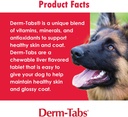 derm-tabs-regular-strength-for-dogs---na-6.jpg