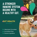 dog-gut-health-probiotics-supplement-imp-4.jpg
