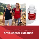 protocol-protosorb-c-500---highly-absorb-3.jpg