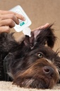 blue-butter-hot-spot-trteatment-cream-4o-6.jpg