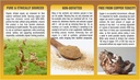 desiccated-chicken-organs-150-capsules-l-4.jpg