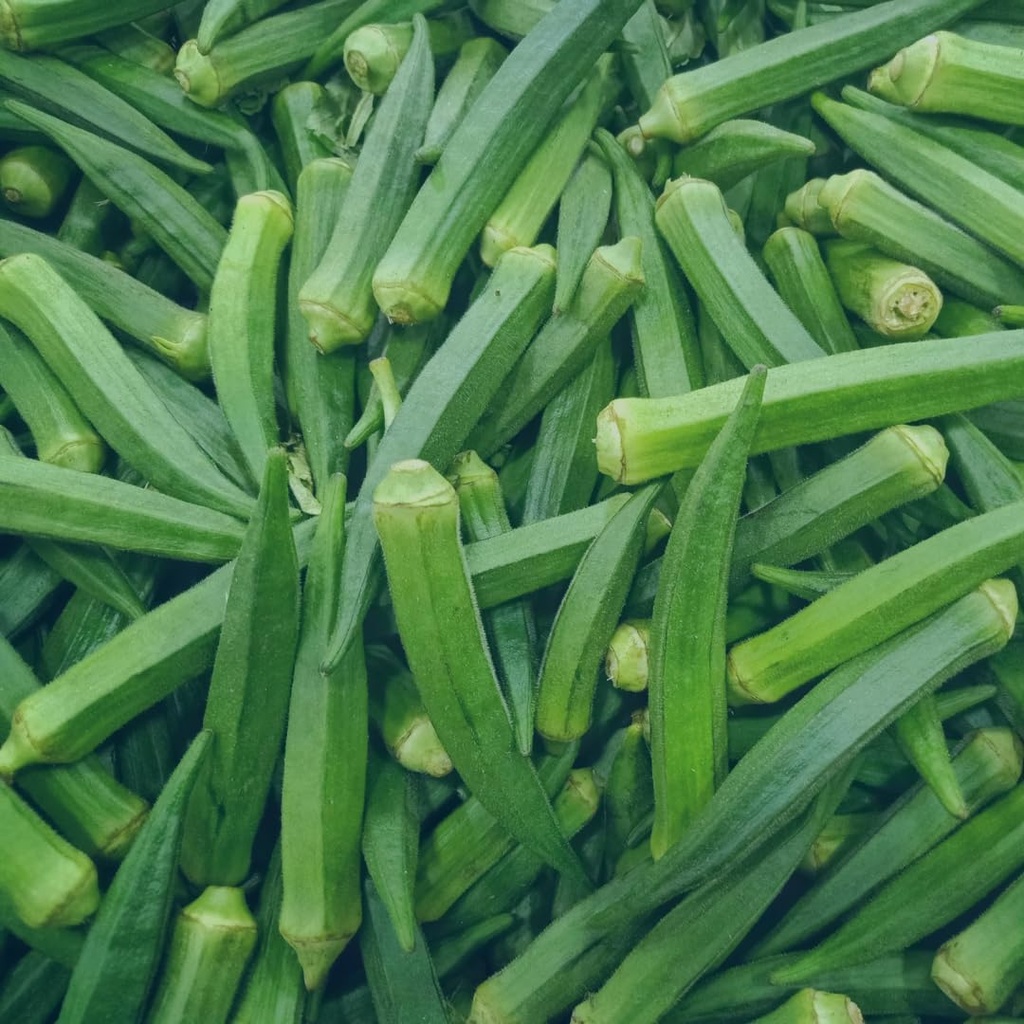 earthborn-elements-okra-extract-200-caps-6.jpg
