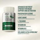 orlo-focus-memory-gummies-nootropic-supp-4.jpg