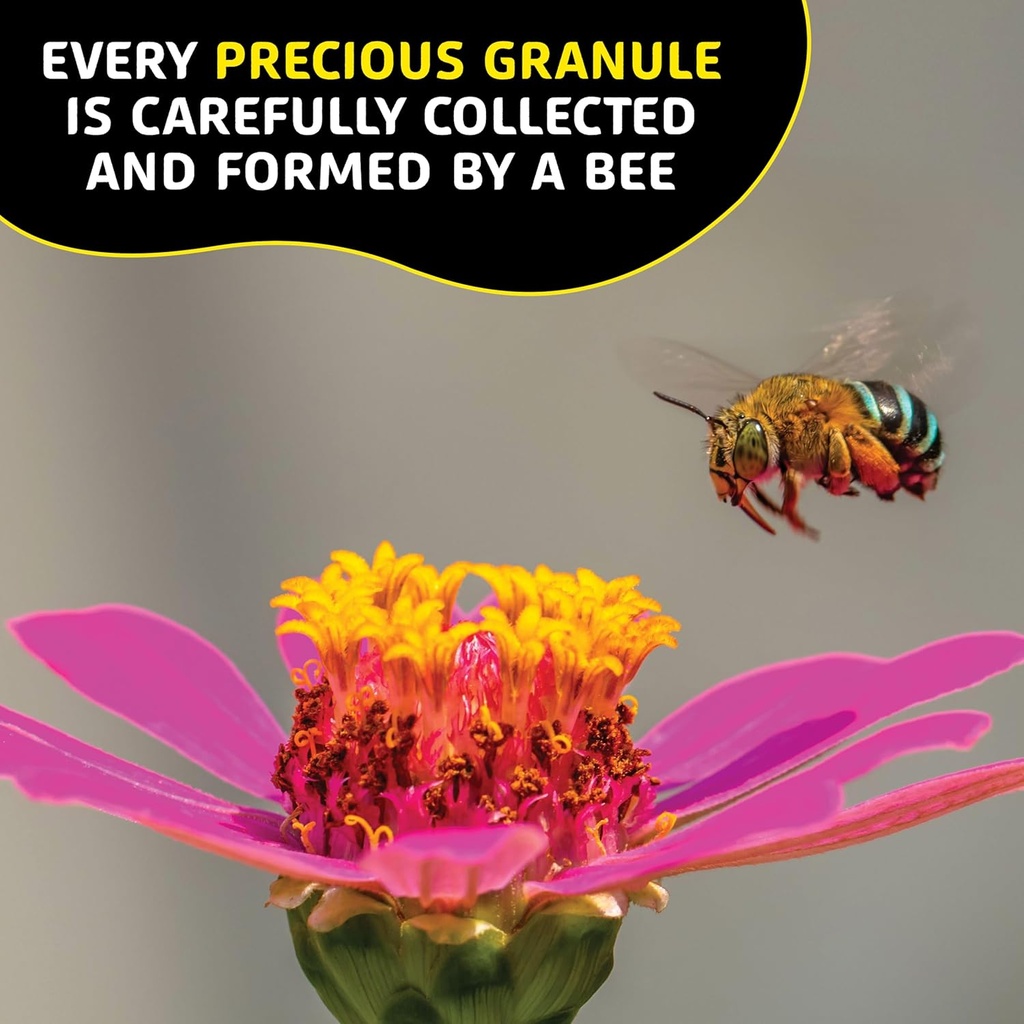 bee-pollen-granules---natures-superfood--6.jpg