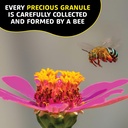 bee-pollen-granules---natures-superfood--6.jpg