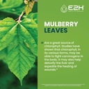 e2h-liquid-chlorophyll-and-liver-support-2.jpg