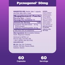 natrol-pycnogenol-capsules-antioxidant-p-5.jpg