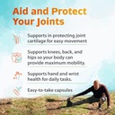 zenith-labs-joint-n-11-joint-health-supp-4.jpg
