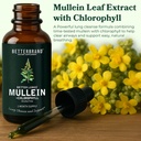 betterlungs-mullein-leaf-extract-and-bla-2.jpg