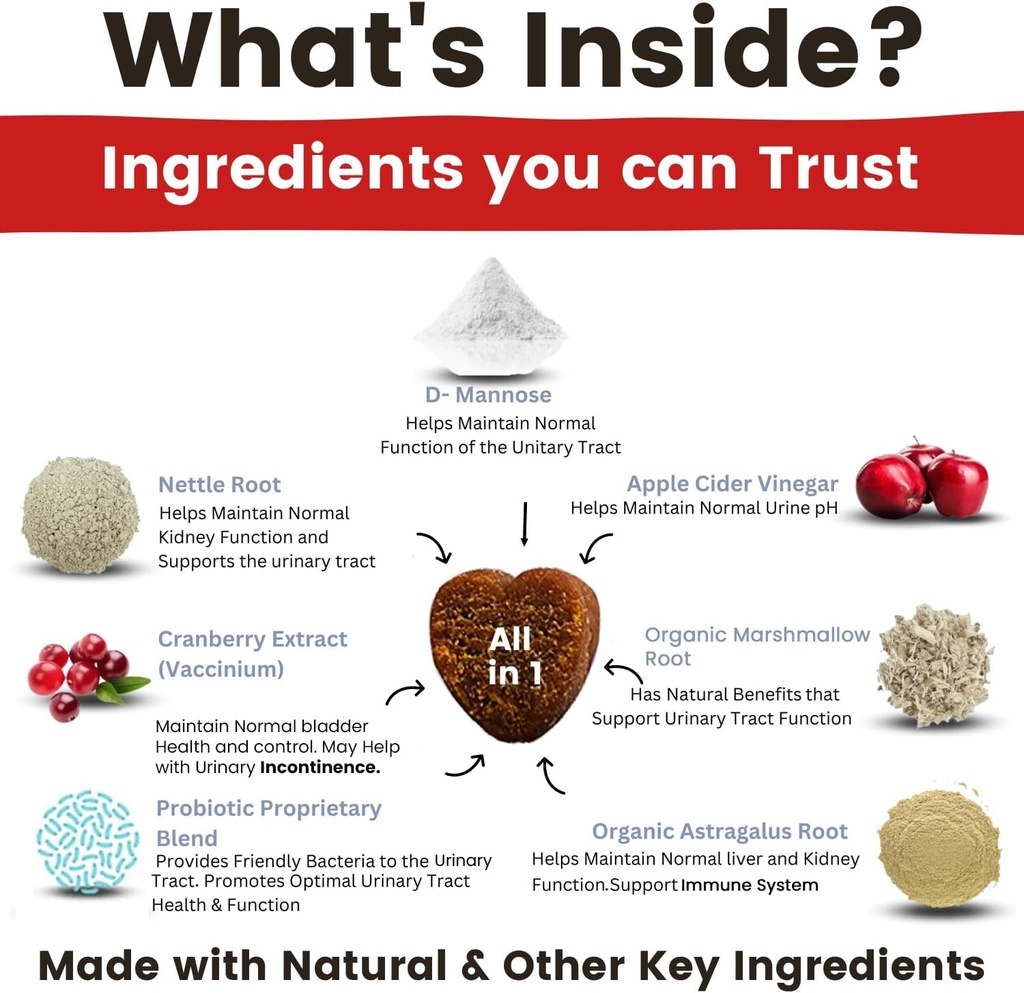 cranberry-supplement-for-dogs-urinary-tr-2.jpg
