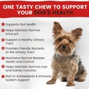 cranberry-supplement-for-dogs-urinary-tr-3.jpg