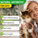 cat-antibiotics-antibiotics-for-cats-nat-2.jpg