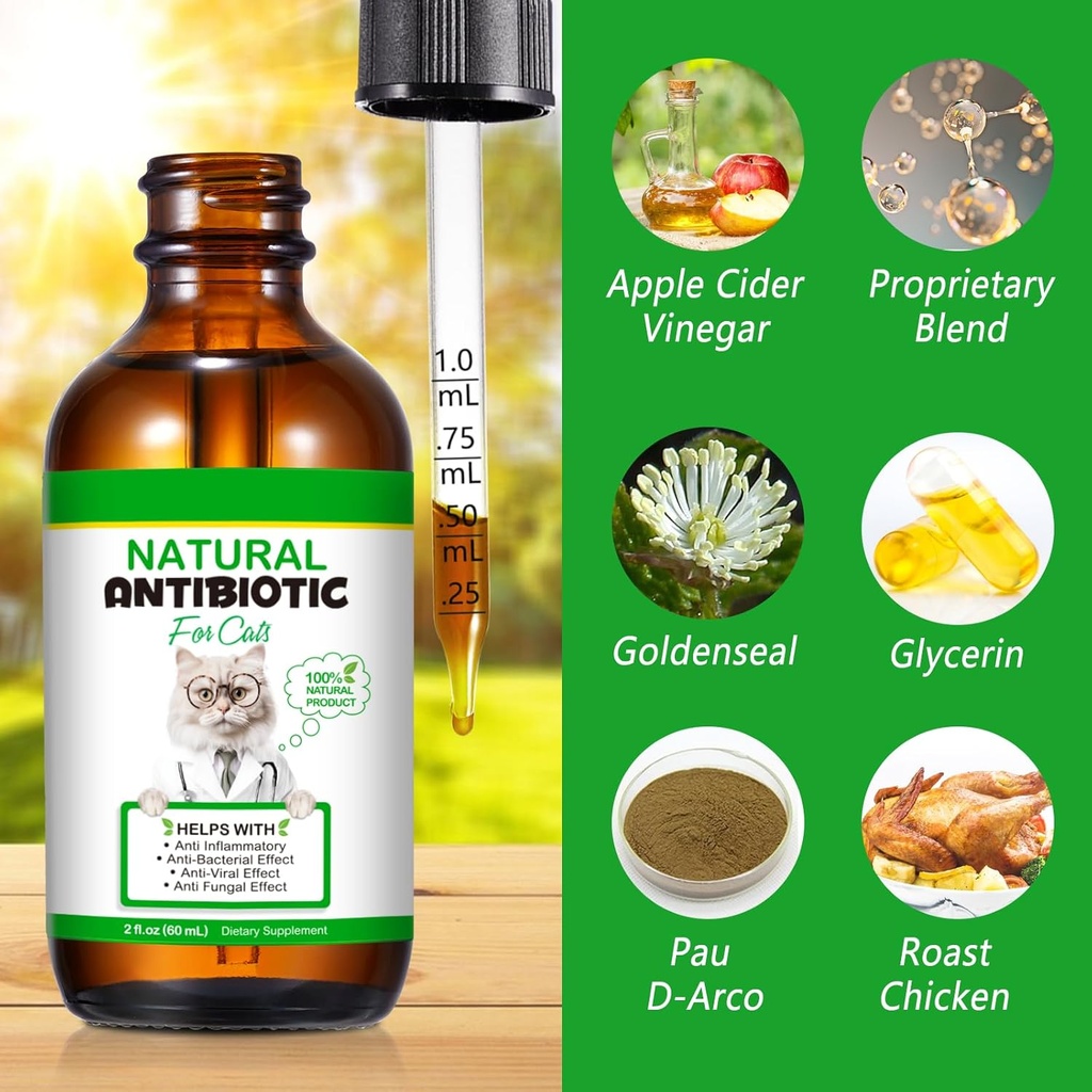 cat-antibiotics-antibiotics-for-cats-nat-3.jpg