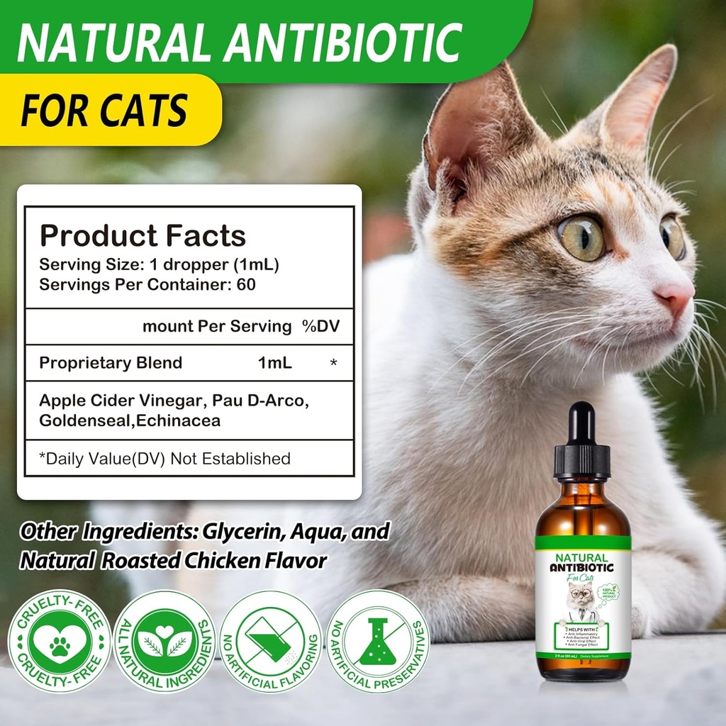 cat-antibiotics-antibiotics-for-cats-nat-4.jpg