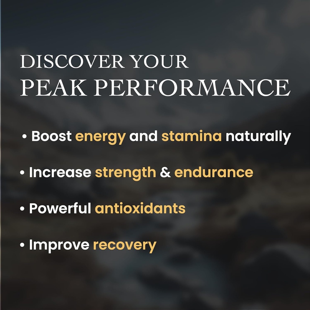 based-shilajit-pure-shilajit-tablets-and-4.jpg