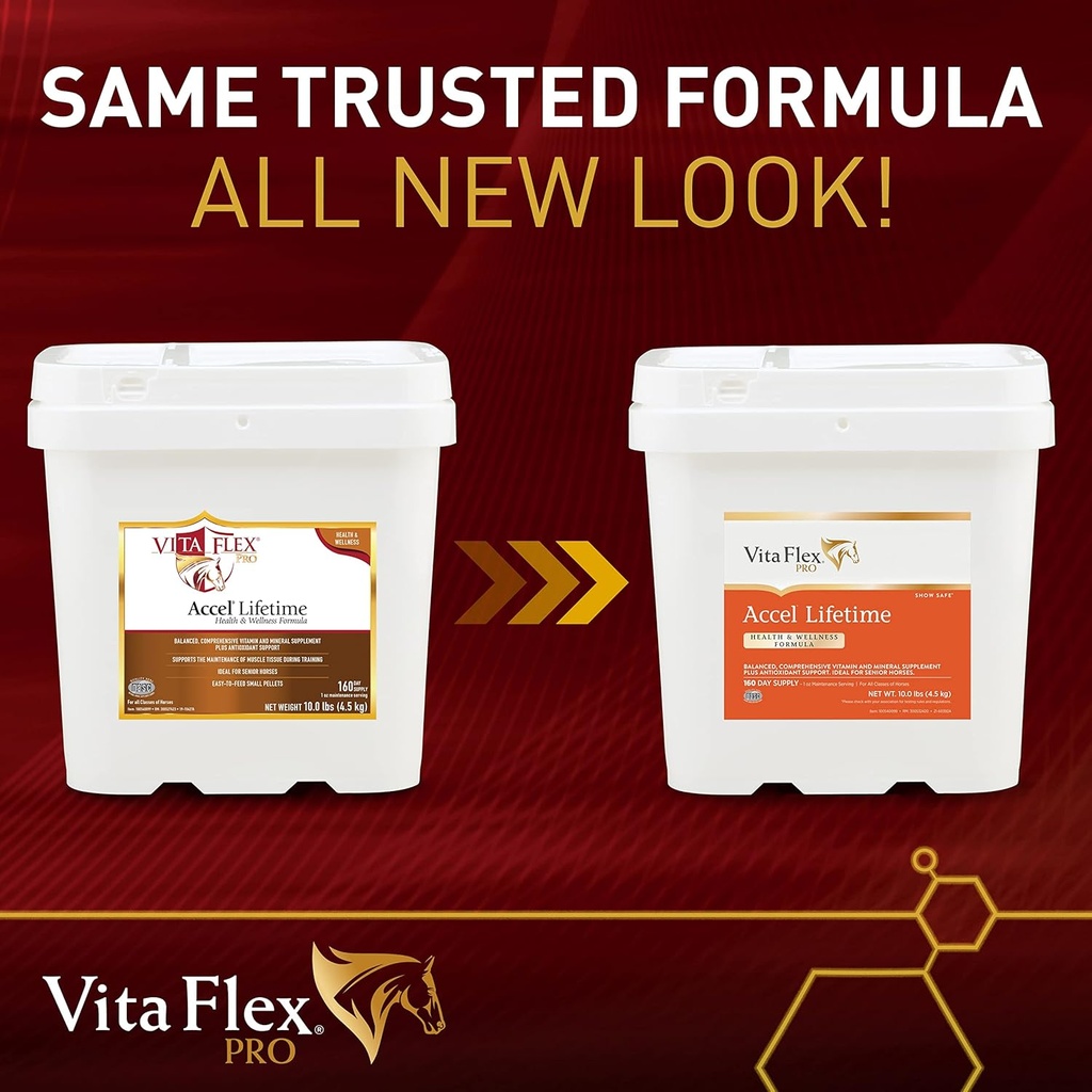 vita-flex-pro-accel-lifetime-health-well-2.jpg