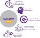 aor-curcumin-ultra-premium-supplement-fa-4.jpg