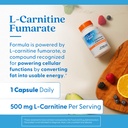 doctors-best-l-carnitine-fumarate-helps--4.jpg